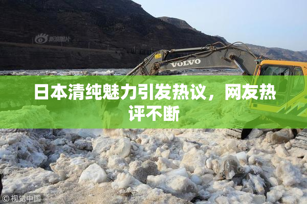 日本清纯魅力引发热议，网友热评不断