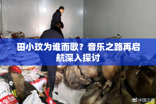 田小玟为谁而歌？音乐之路再启航深入探讨