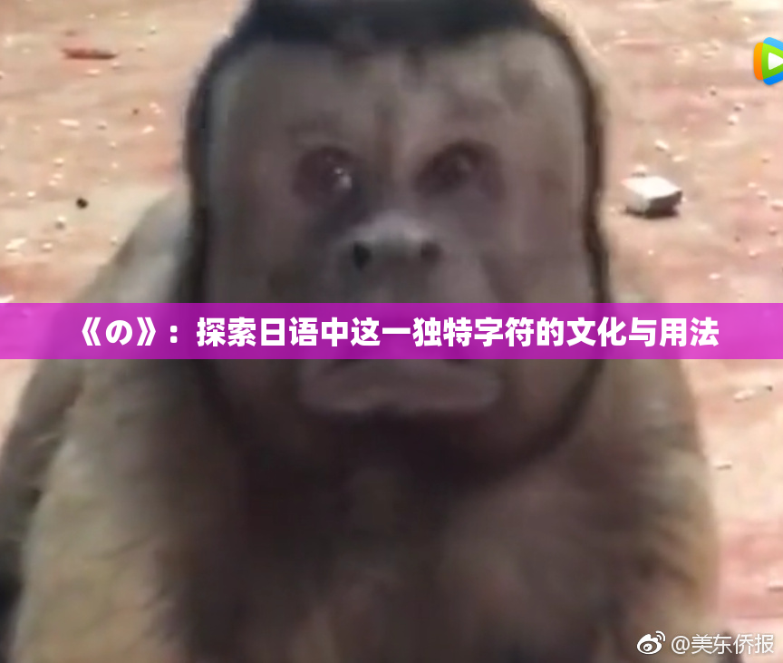 《の》：探索日语中这一独特字符的文化与用法