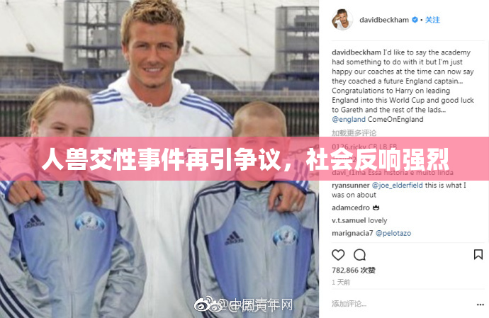 人兽交性事件再引争议，社会反响强烈