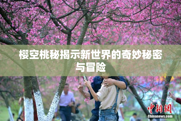樱空桃秘揭示新世界的奇妙秘密与冒险