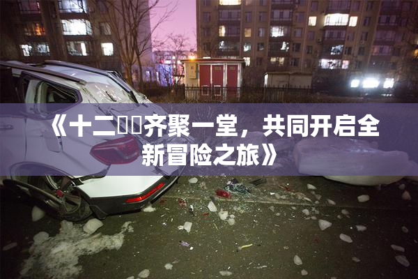《十二妺妺齐聚一堂，共同开启全新冒险之旅》