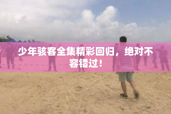少年骇客全集精彩回归，绝对不容错过！