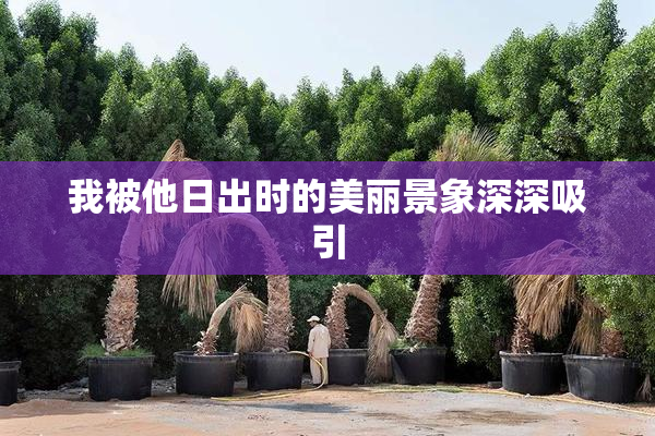 我被他日出时的美丽景象深深吸引