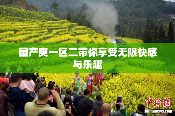 国产爽一区二带你享受无限快感与乐趣