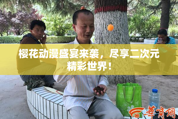 樱花动漫盛宴来袭，尽享二次元精彩世界！