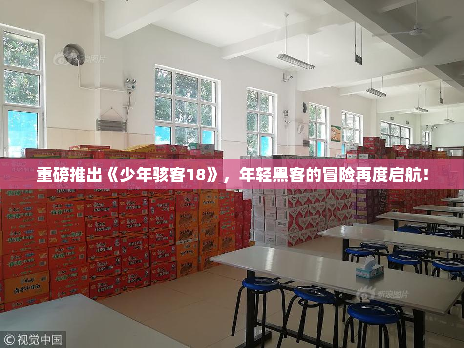 重磅推出《少年骇客18》，年轻黑客的冒险再度启航！