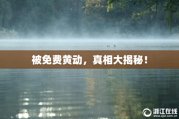 被免费黄动，真相大揭秘！