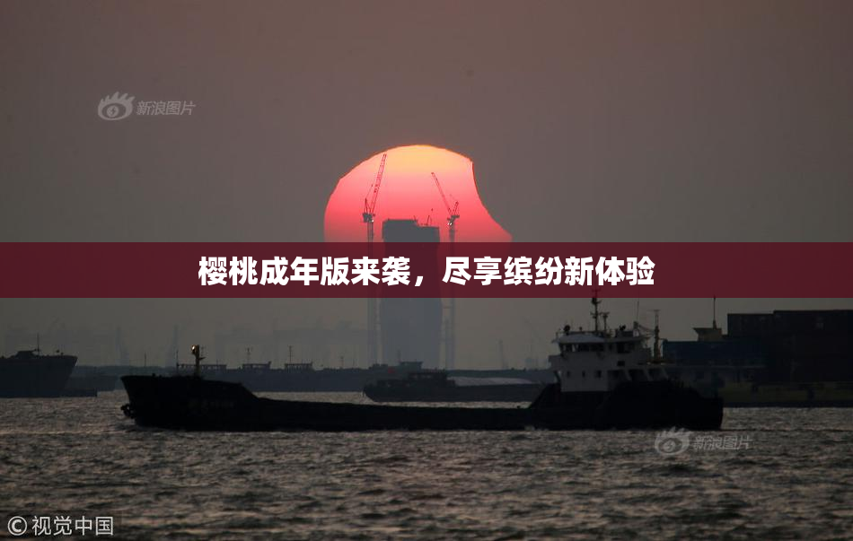 樱桃成年版来袭，尽享缤纷新体验