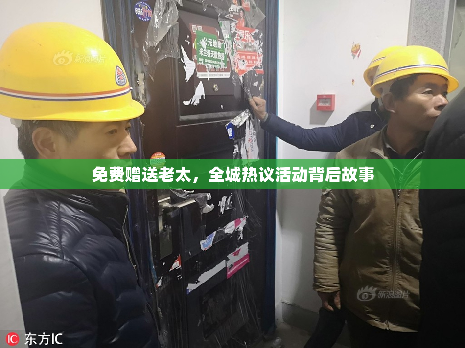 免费赠送老太，全城热议活动背后故事