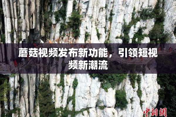 蘑菇视频发布新功能，引领短视频新潮流
