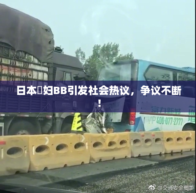 日本婬妇BB引发社会热议，争议不断！