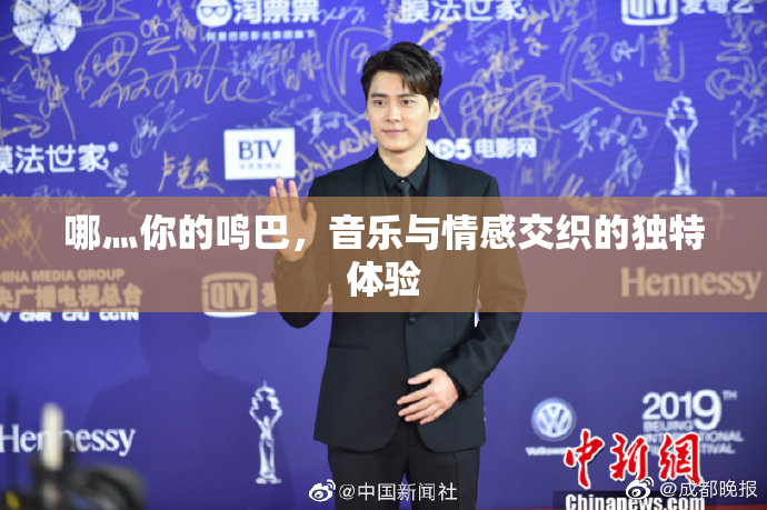 哪灬你的鸣巴，音乐与情感交织的独特体验