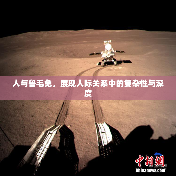 人与鲁毛免，展现人际关系中的复杂性与深度
