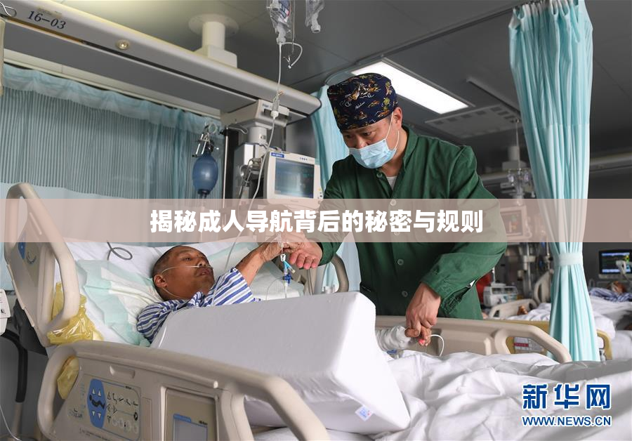 揭秘成人导航背后的秘密与规则