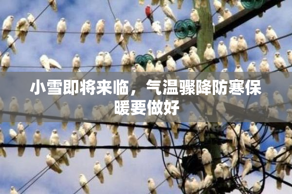 小雪即将来临，气温骤降防寒保暖要做好