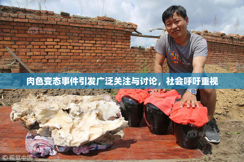 肉色变态事件引发广泛关注与讨论，社会呼吁重视