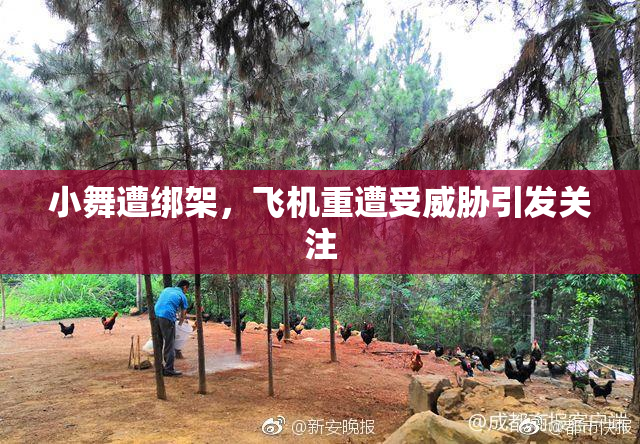 小舞遭绑架，飞机重遭受威胁引发关注