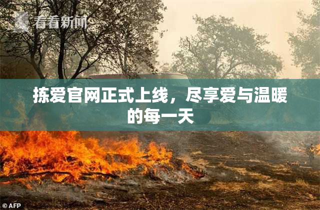 拣爱官网正式上线，尽享爱与温暖的每一天