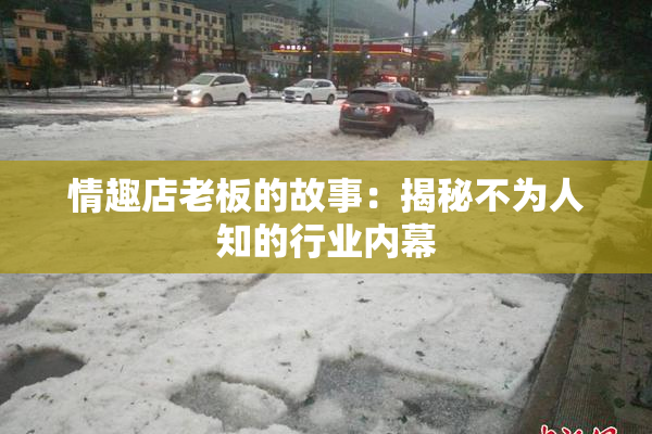 情趣店老板的故事：揭秘不为人知的行业内幕