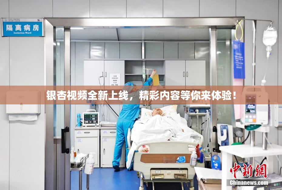 银杏视频全新上线，精彩内容等你来体验！