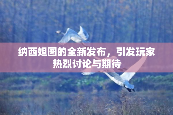 纳西妲图的全新发布，引发玩家热烈讨论与期待