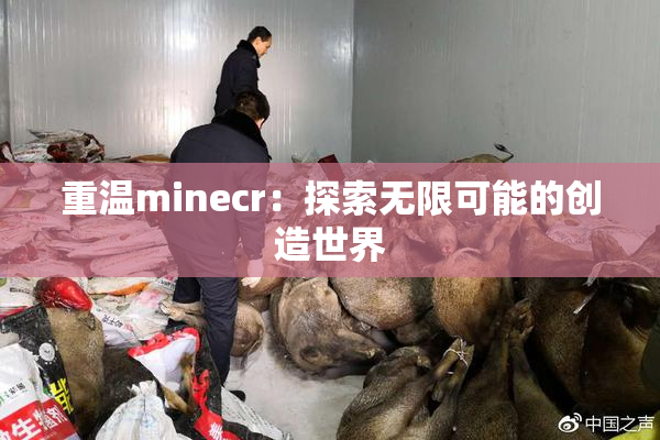 重温minecr：探索无限可能的创造世界