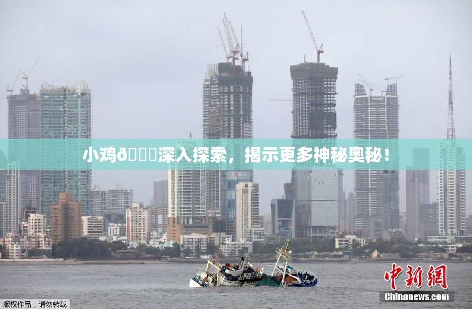 小鸡🐔深入探索，揭示更多神秘奥秘！
