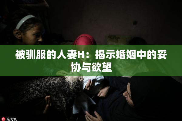被驯服的人妻H：揭示婚姻中的妥协与欲望