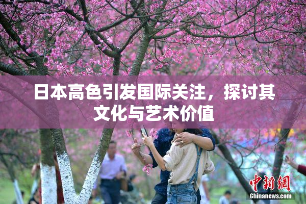 日本高色引发国际关注，探讨其文化与艺术价值