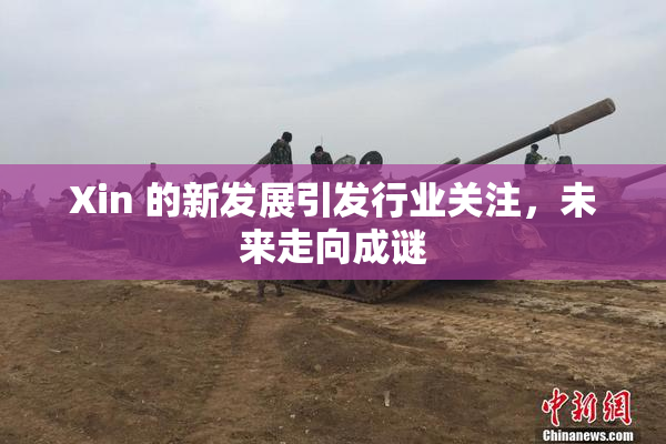 Xin 的新发展引发行业关注，未来走向成谜