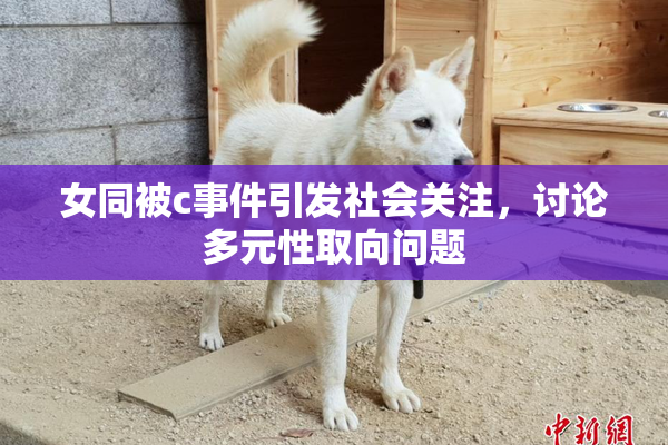 女同被c事件引发社会关注，讨论多元性取向问题