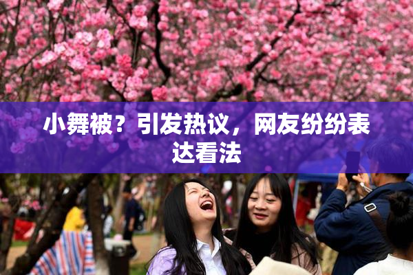 小舞被？引发热议，网友纷纷表达看法