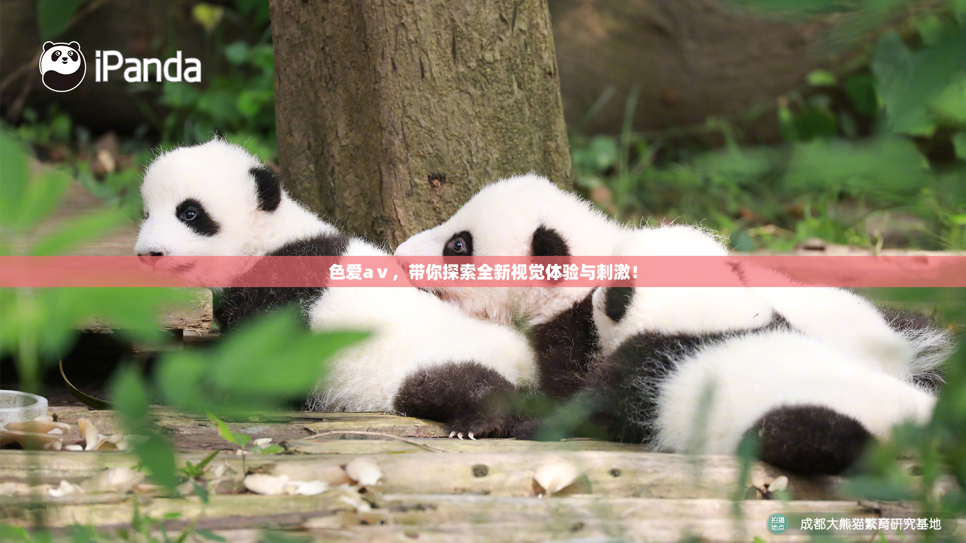 色爱aⅴ，带你探索全新视觉体验与刺激！