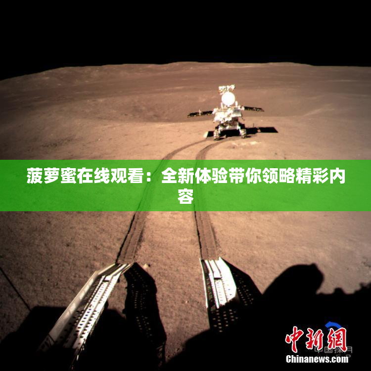 菠萝蜜在线观看：全新体验带你领略精彩内容