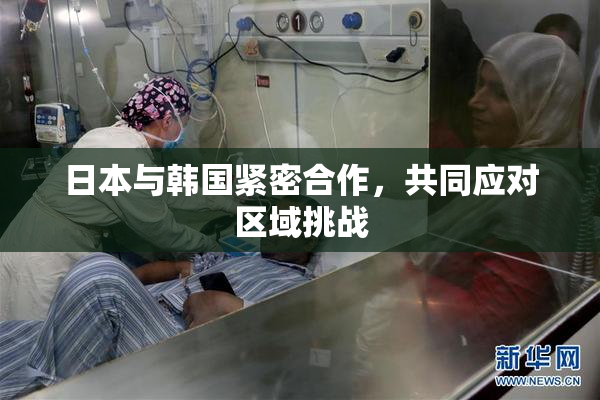 日本与韩国紧密合作，共同应对区域挑战