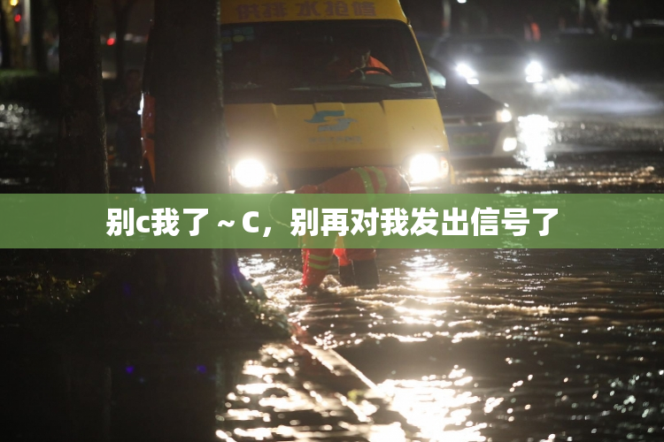 别c我了～C，别再对我发出信号了