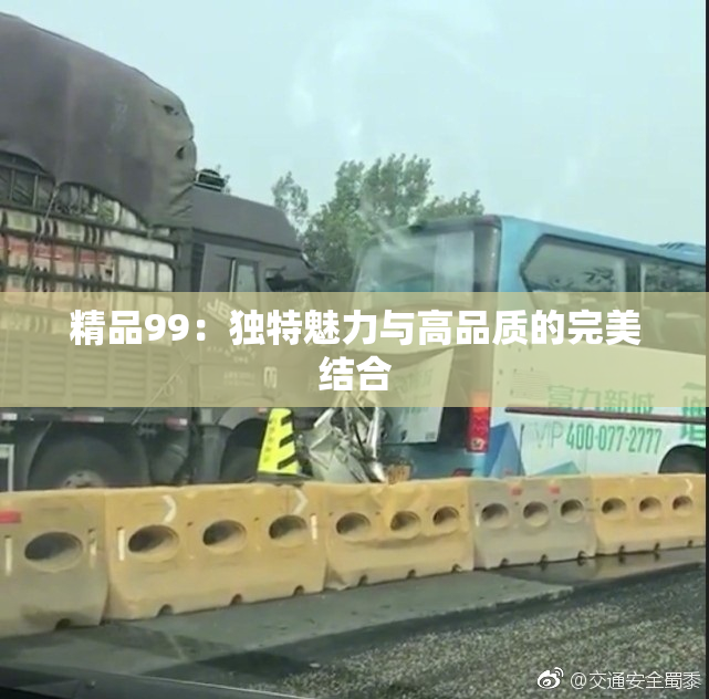 精品99：独特魅力与高品质的完美结合
