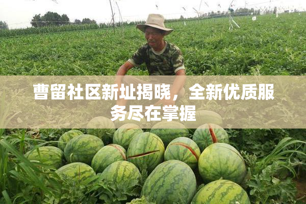 曹留社区新址揭晓，全新优质服务尽在掌握