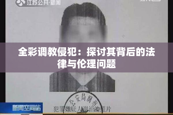 全彩调教侵犯：探讨其背后的法律与伦理问题