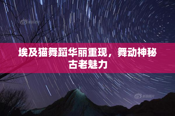 埃及猫舞蹈华丽重现，舞动神秘古老魅力