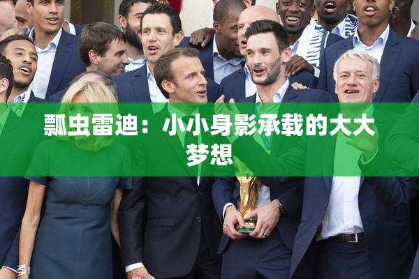 瓢虫雷迪：小小身影承载的大大梦想