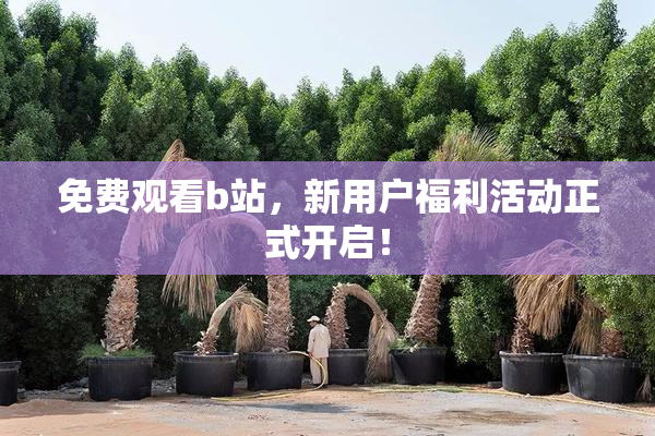 免费观看b站，新用户福利活动正式开启！