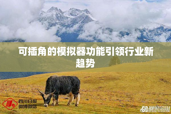 可插角的模拟器功能引领行业新趋势