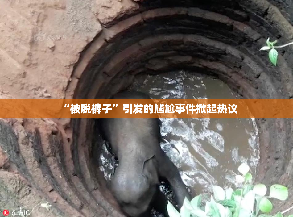 “被脱裤子”引发的尴尬事件掀起热议