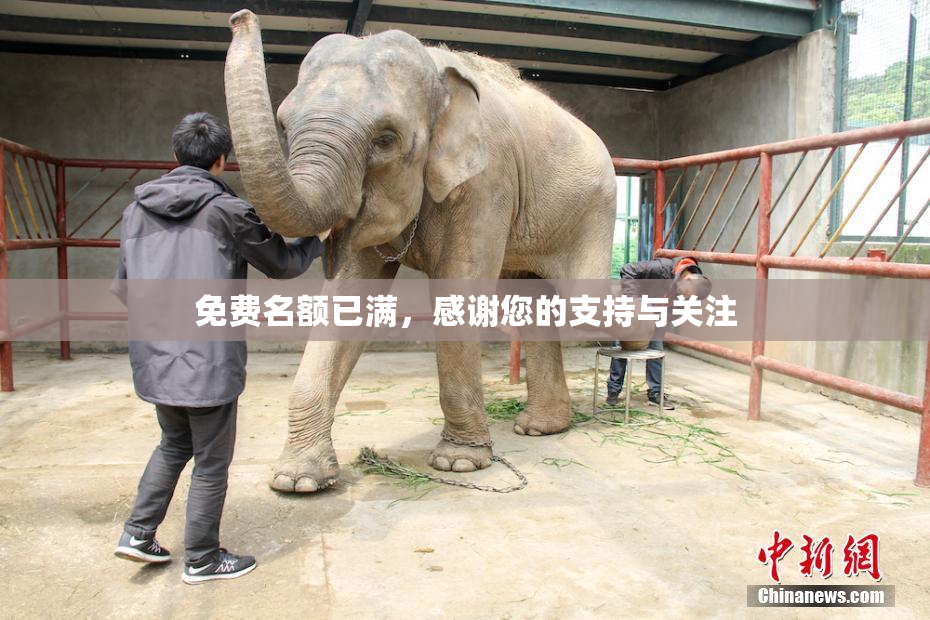 免费名额已满，感谢您的支持与关注