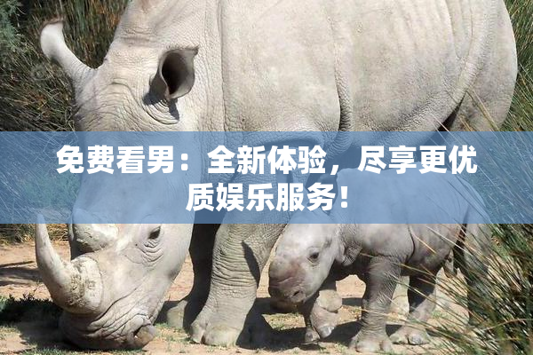 免费看男：全新体验，尽享更优质娱乐服务！