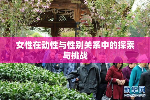 女性在动性与性别关系中的探索与挑战
