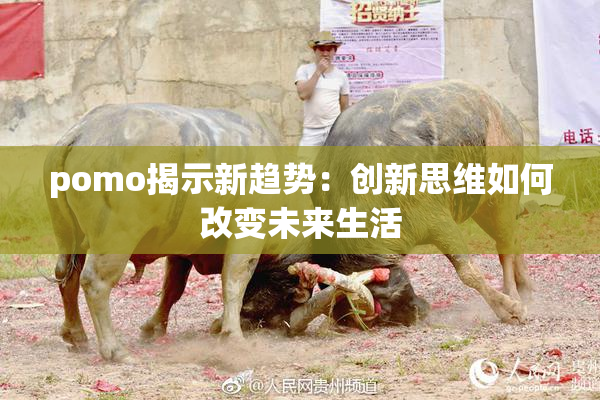 pomo揭示新趋势：创新思维如何改变未来生活