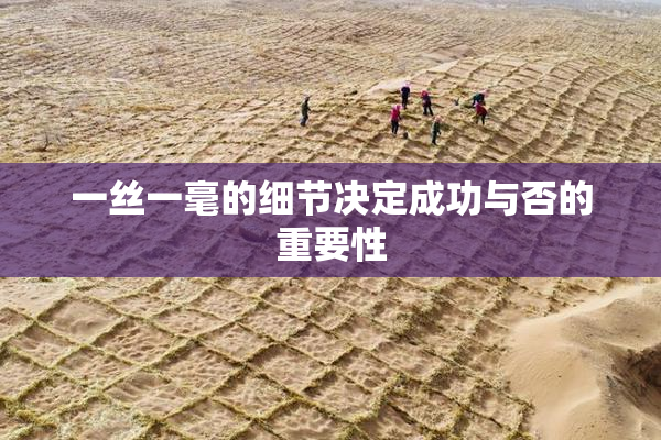 一丝一毫的细节决定成功与否的重要性